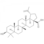 Betulinic acid