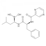 Bortezomib