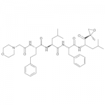 Carfilzomib (PR171)