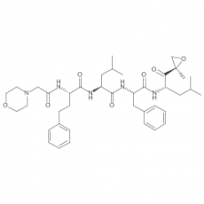 Carfilzomib (PR171) Carfilzomib (PR171)