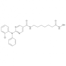 Citarinostat Citarinostat